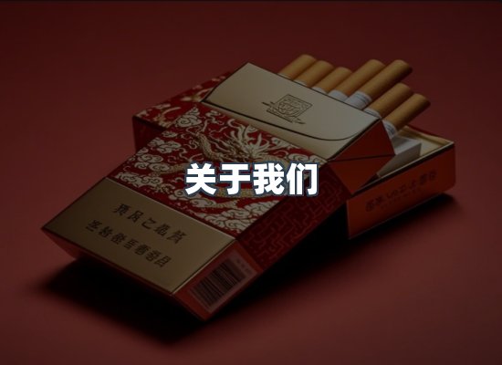 专业团队
